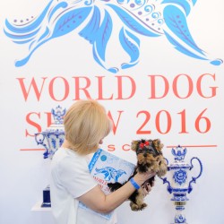 WORLD DOG SHOW
